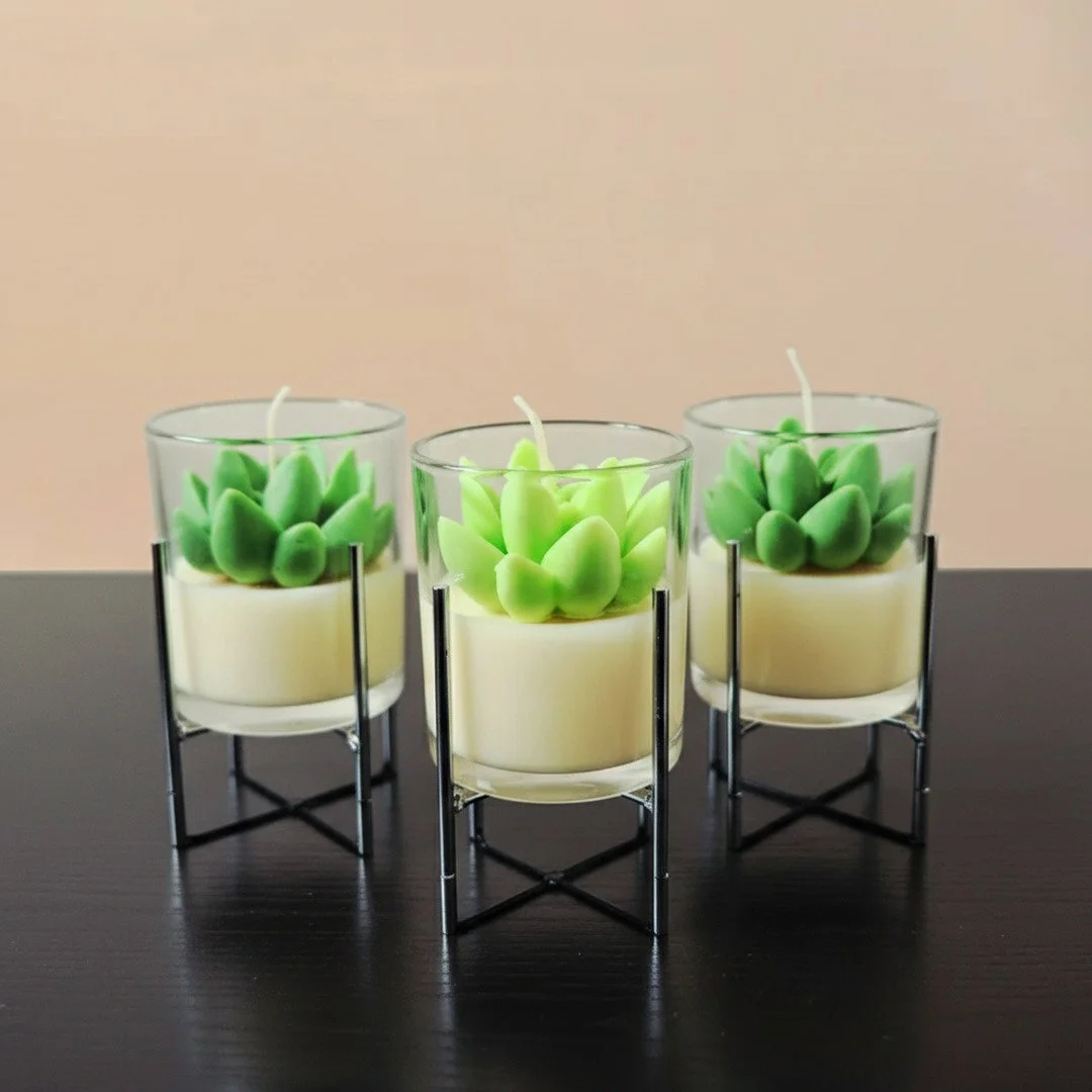 Vela Suculenta en vaso con base metálica